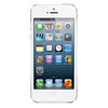 Apple iPhone 5 16Gb white - Сокол