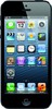 Apple iPhone 5 16GB - Сокол